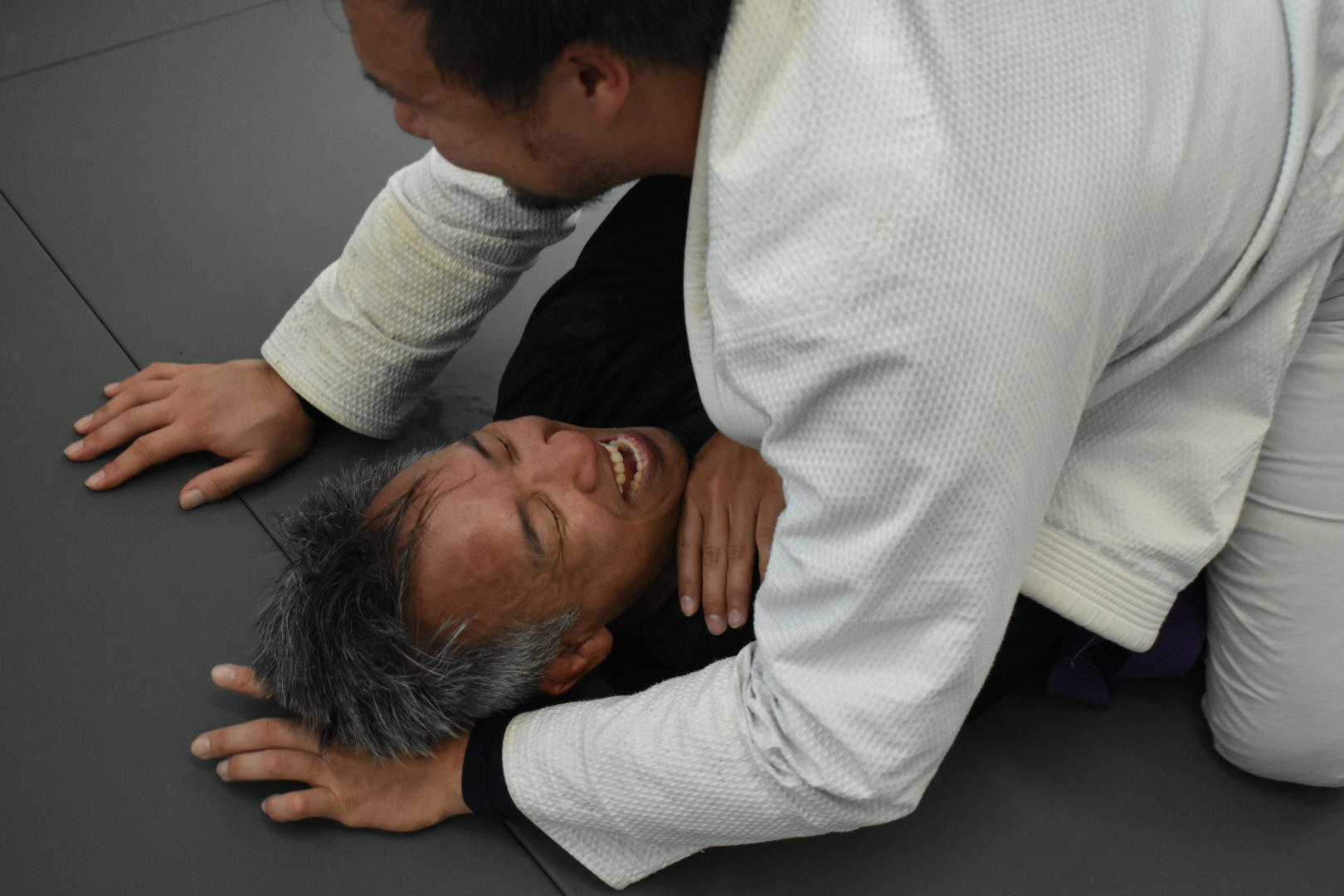 Photo Aug 13 2023, 11 27 22 AM